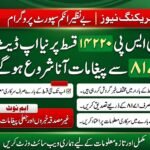 BISP 14220 Qist Ka Bara Update 2026 – Kya 8171 Se SMS Aana Shuru Ho Gaya?