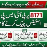 BISP Family Status Check 8171: Latest Update and Guide